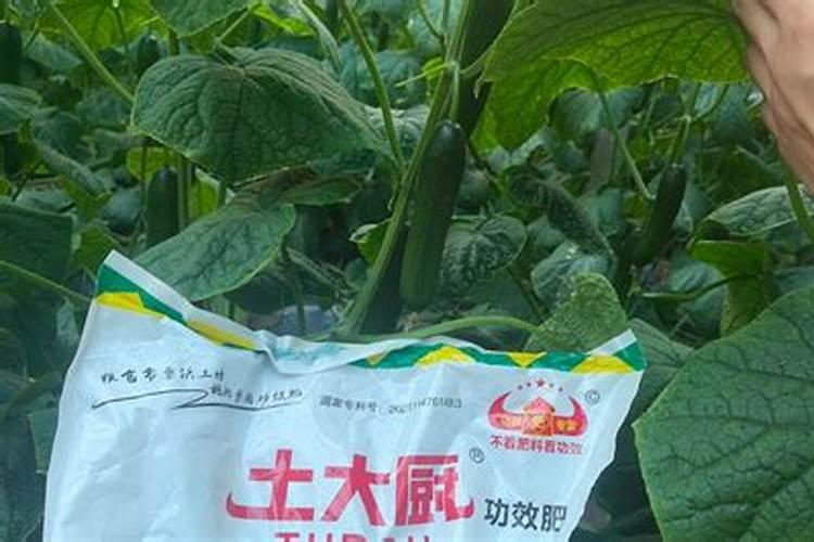 大量元素水溶肥掌握4点使用方法