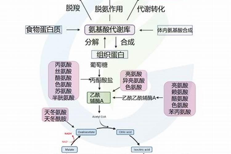 梨树铁头病怎么防治？专家分析分析!