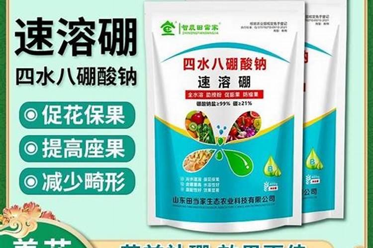 山东潍坊十大名牌叶面肥