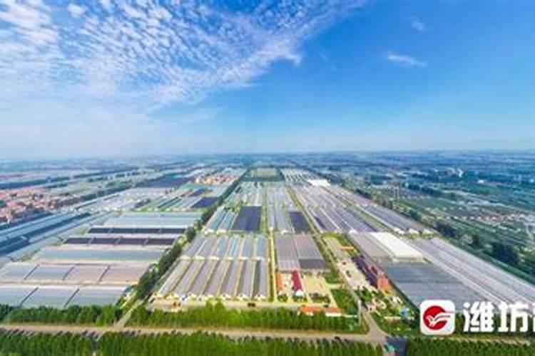 蔬菜叶面肥什么品牌好？叶面肥价格多少钱？叶面肥什么时候打好？