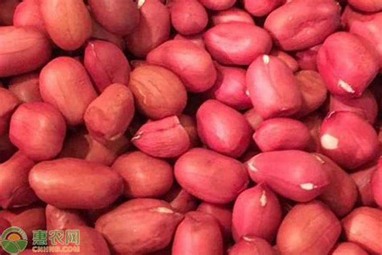 花生茎腐病的防治方法(花生茎腐病用什么药治疗最好)