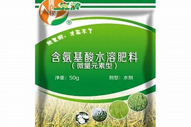 水稻什么时间施肥最好