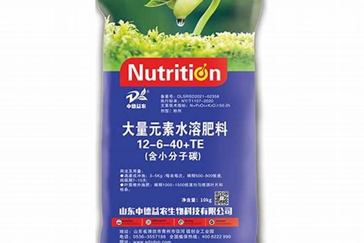 果树什么时间施肥最好