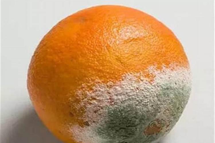 家庭种植蔬菜用什么做肥料？