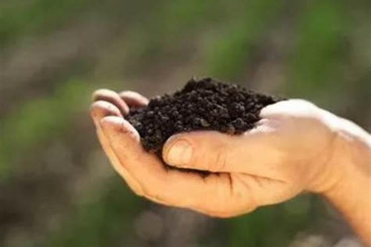 如何改善土质板结