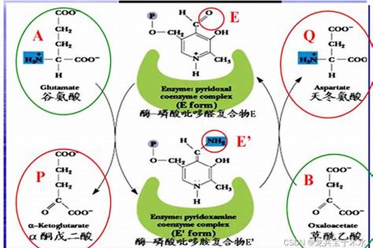 什么是地变果满冲施肥,好用吗