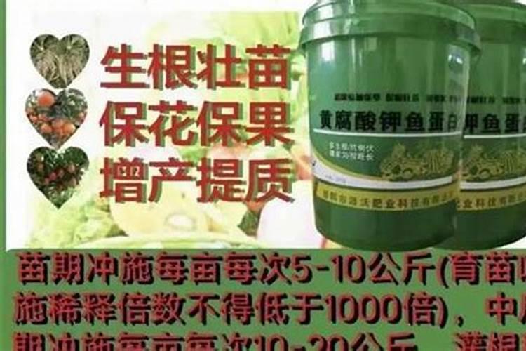 沙土地一亩用多少钾肥钾肥