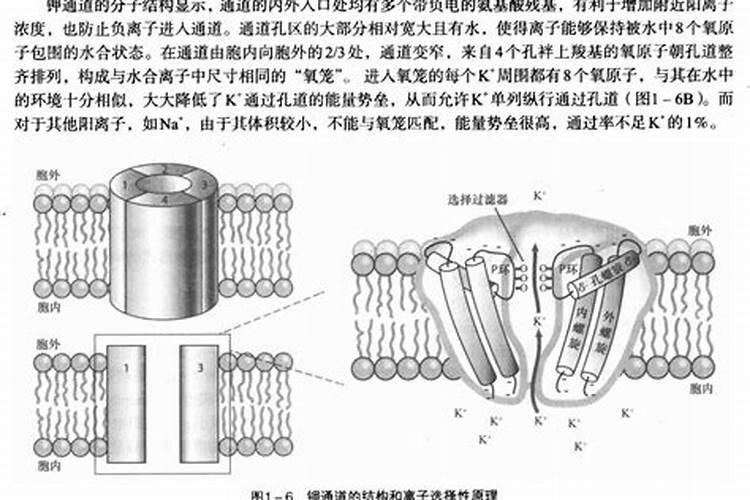 氯化钾是钾肥吗