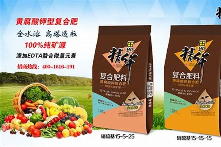 青菜施什么肥最好