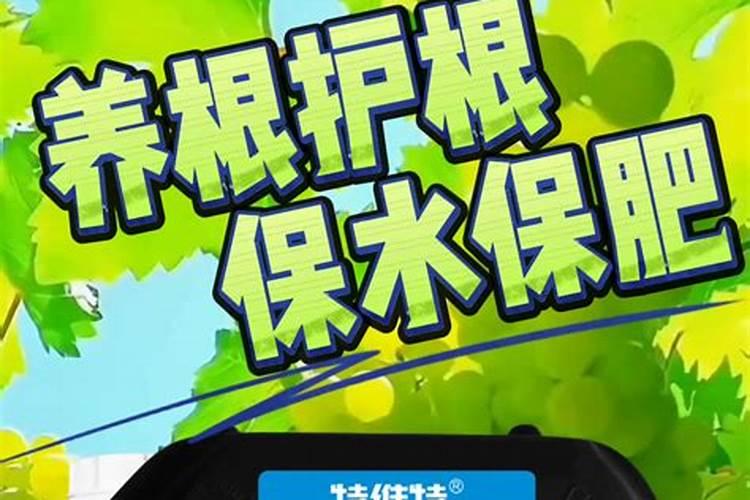 水溶肥是有机肥吗 有机水溶肥是什么肥料