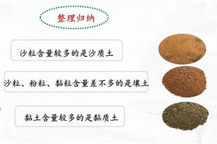香蕉缺钾有怎样的症状和治疗措施？