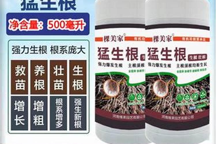 半夏增产叶面肥,生根肥料什么时候用效果好？