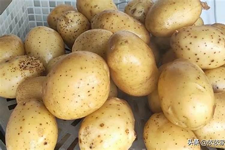 土豆坏了怎么沤肥