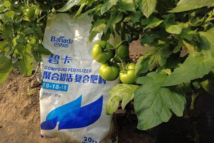 颗粒状的平衡型水溶肥有哪些