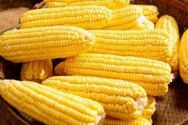 水果玉米用硫酸钾会提前成熟吗