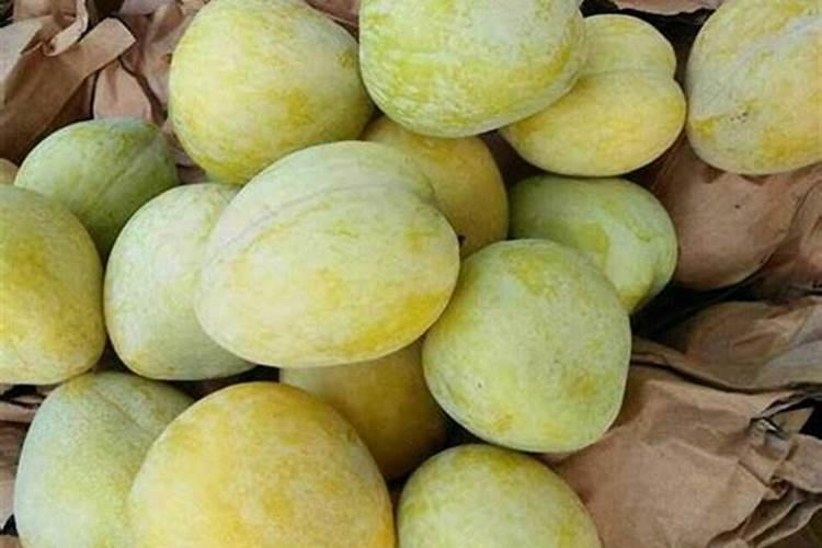 钾肥可以在桃树上叶面喷施吗？