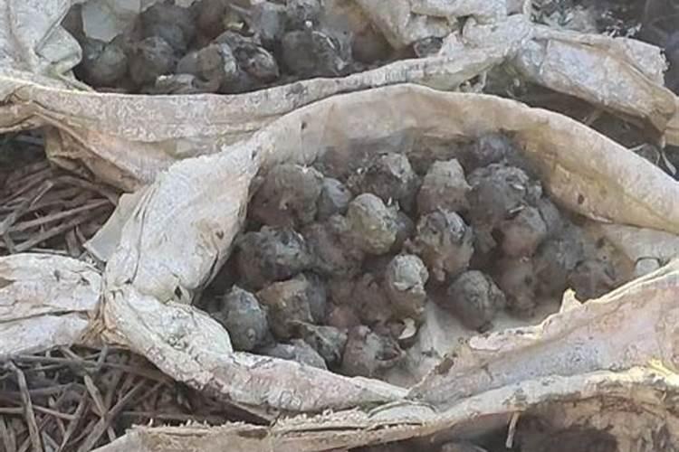 马铃薯膨大用什么肥料好？马铃薯根茎块用什么肥料个头大？