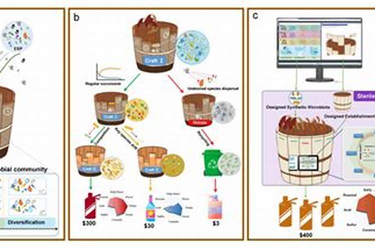 鱼蛋白水肥微生物发酵工艺流程