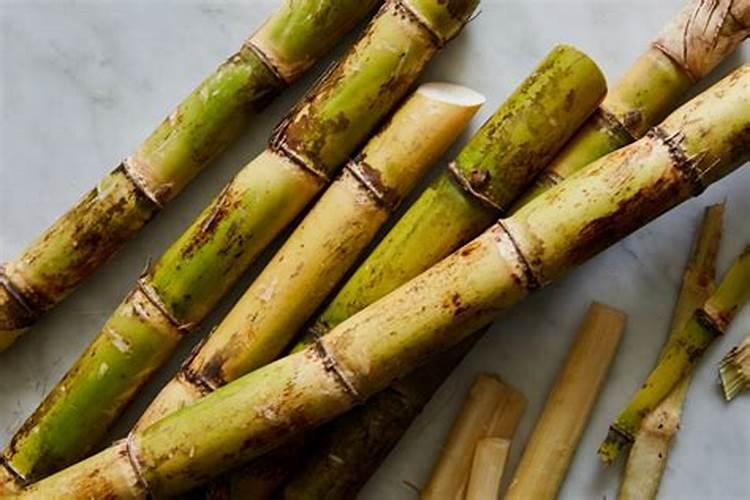 甘庶拔节期施什么肥