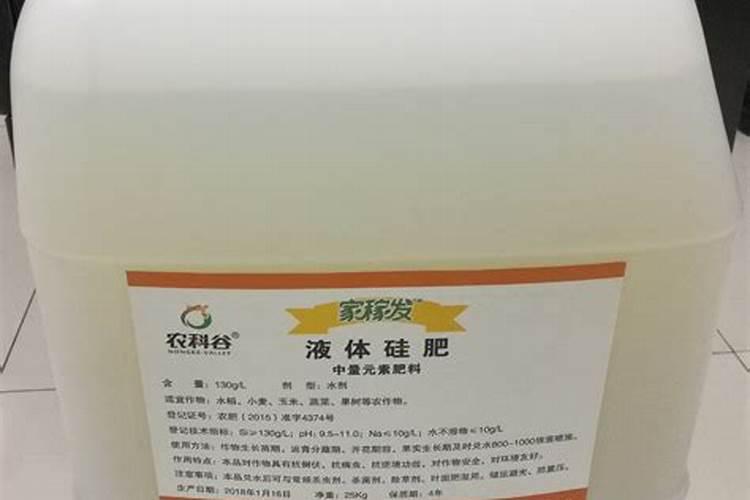 液体硅肥什么时候冲施小番茄好