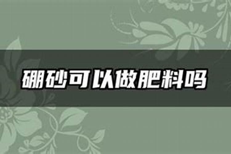 硼砂可以替代磷肥吗？