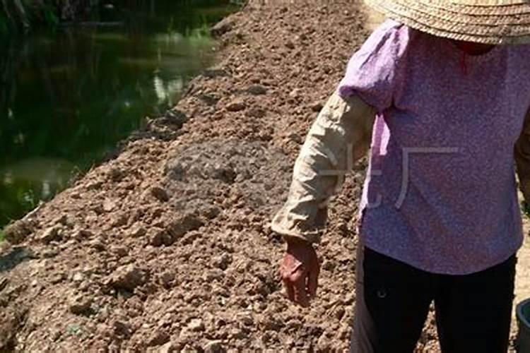 土壤中怎样施用钙肥——石灰和石膏？