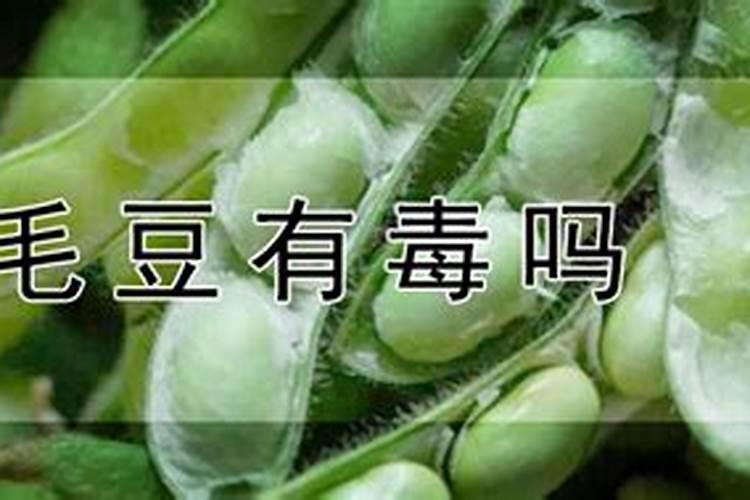 香蕉是怎样长大出来的？