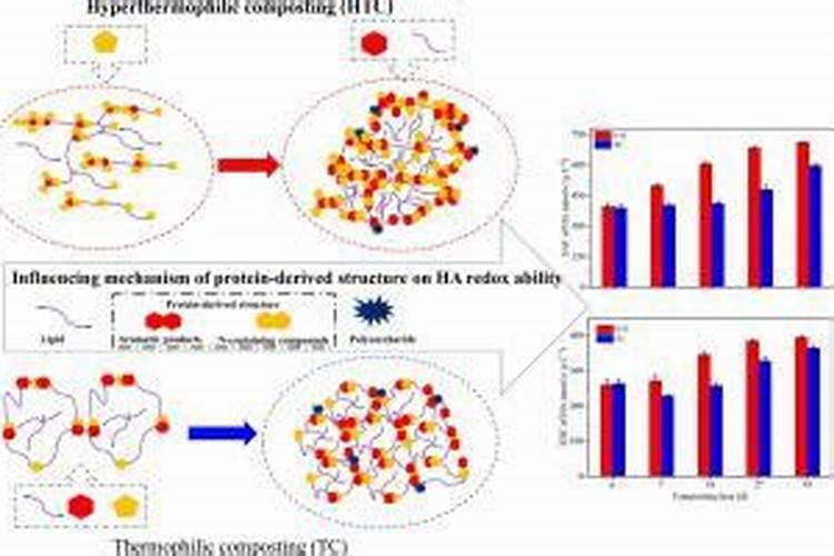 腐殖酸在碱溶液的溶解度