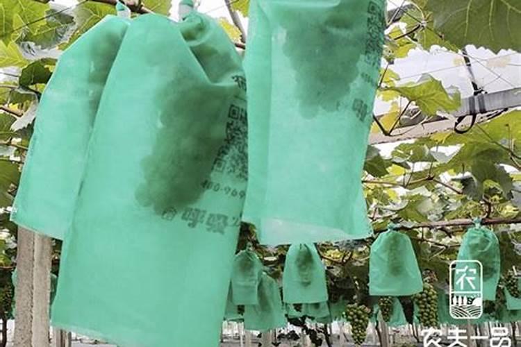 8亿公斤鱼无人捕捞!西藏羊湖堪称鱼类天堂,当地人在害怕什么？