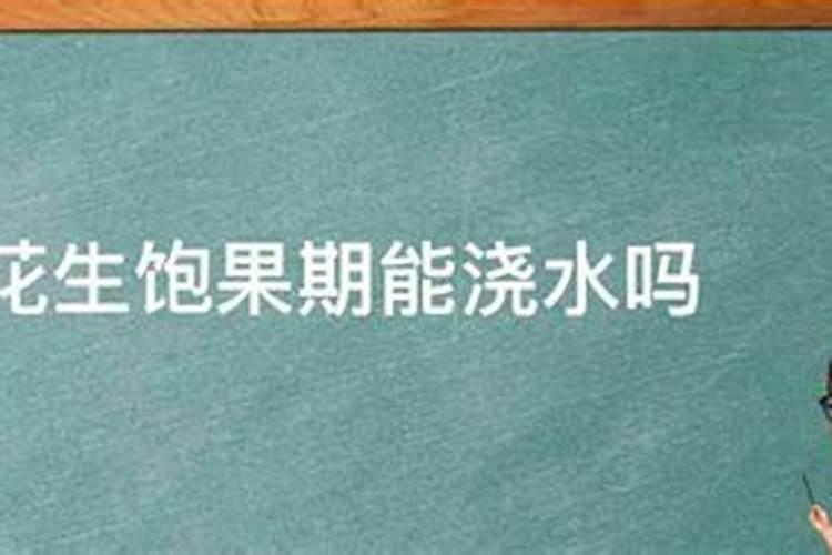花生喜欢的叶面肥