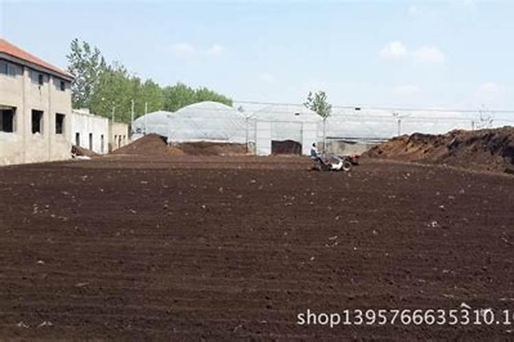 请问水稻破口至齐穗至成熟需要多少天。