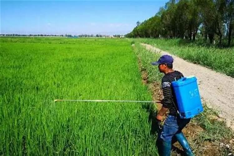 甲胺磷能和水溶肥混用吗