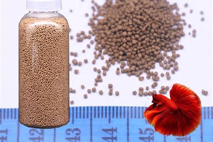 自制鱼蛋白过程中出现氨气该如何处理