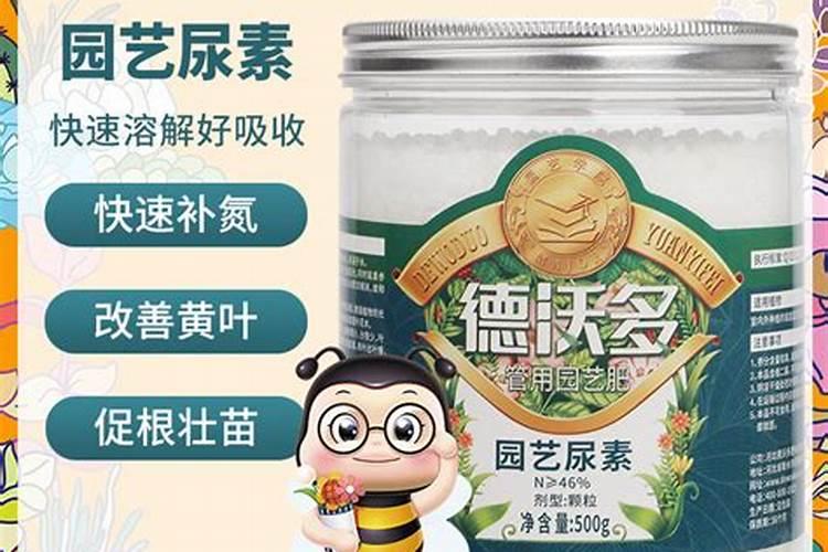 柚子树施什么肥较好