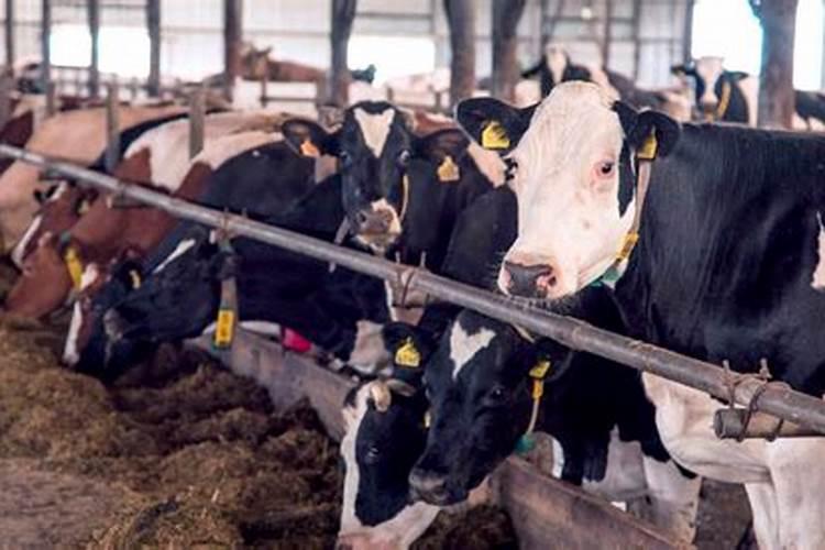 必须用衣物来御寒,人类为何要进化成这样？