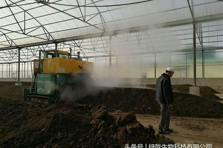 菠萝皮做花肥的方法