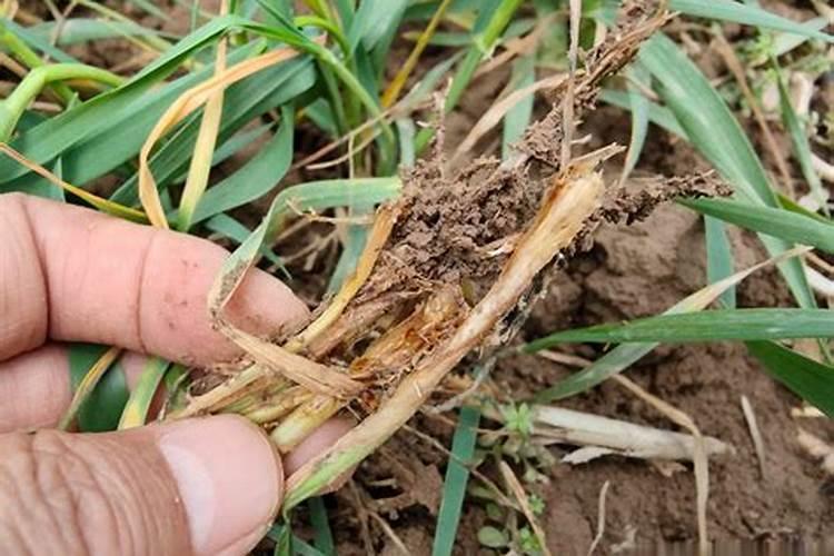 全国医美整形医院避雷劝退