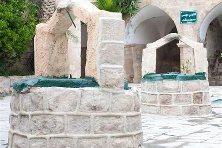 以色列进口肥料有哪些