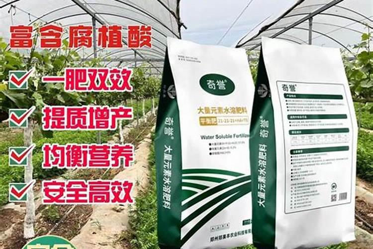 打瓜种植一亩需要多少成本核算？