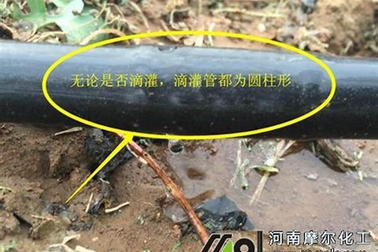 尿素的肥效期是多少天 尿素使用注意事项