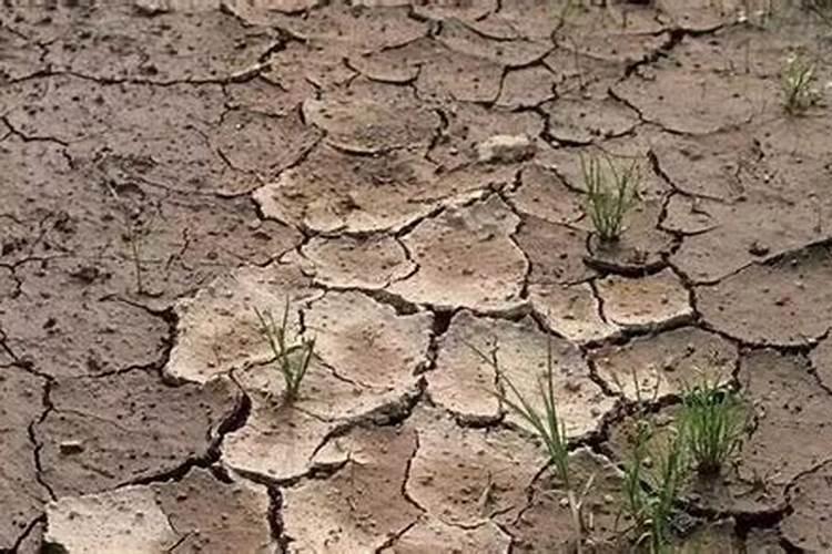 1斤黄腐酸钾兑多少水