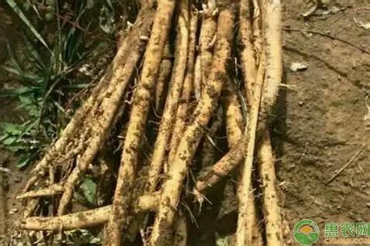 使用草木灰(碳酸钾K2CO3)的注意事项