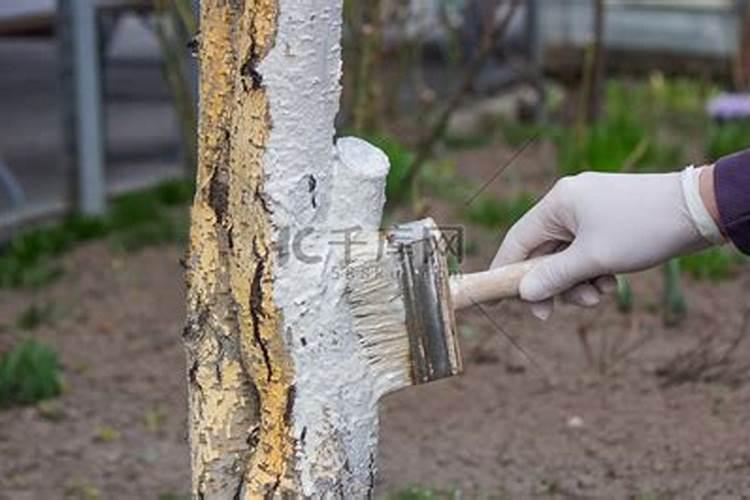 鱼蛋白和防冻剂能一起喷吗石榴树？