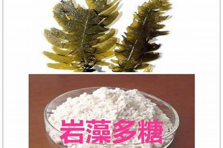 盆景可以用海藻精吗？