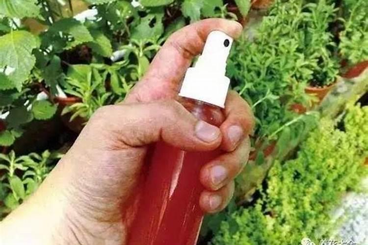 小麦扬花期什么时候打药最好小麦打药是杨花…