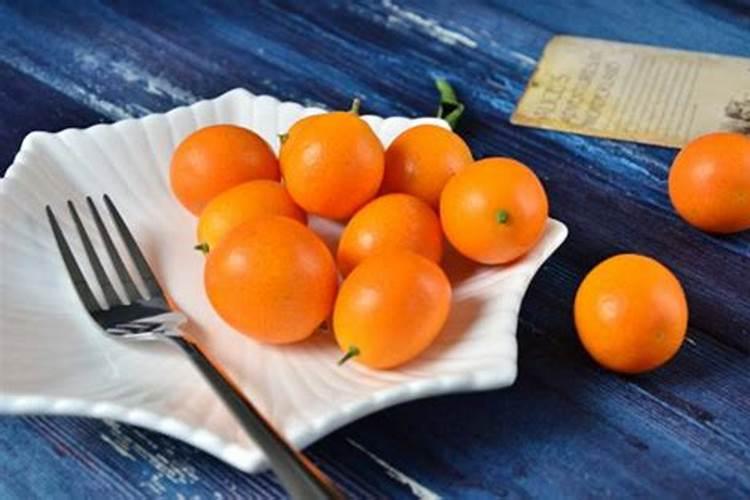 金桔树施什么肥料最好