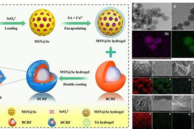 生吃土瓜对身体有什么营养或害处？