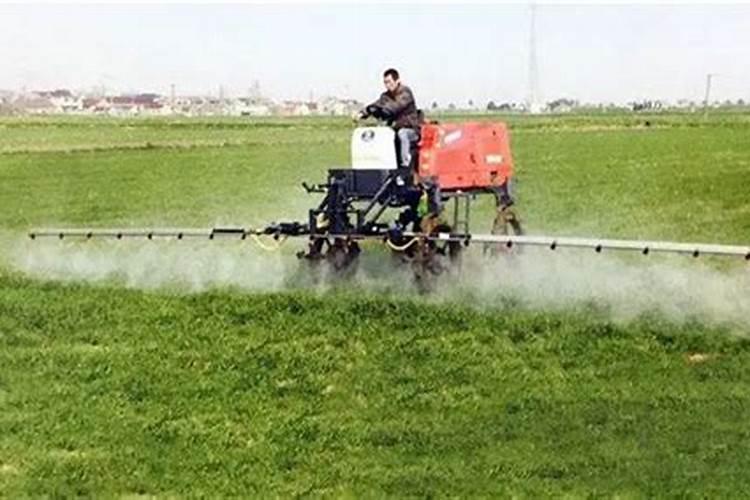 石榴的高产要怎么施肥 石榴施肥需要注意什么