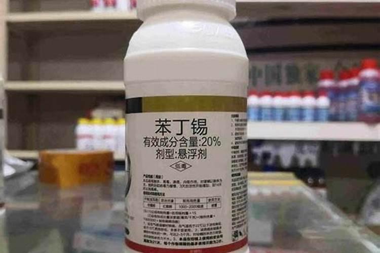 白萝卜种植时间和方法