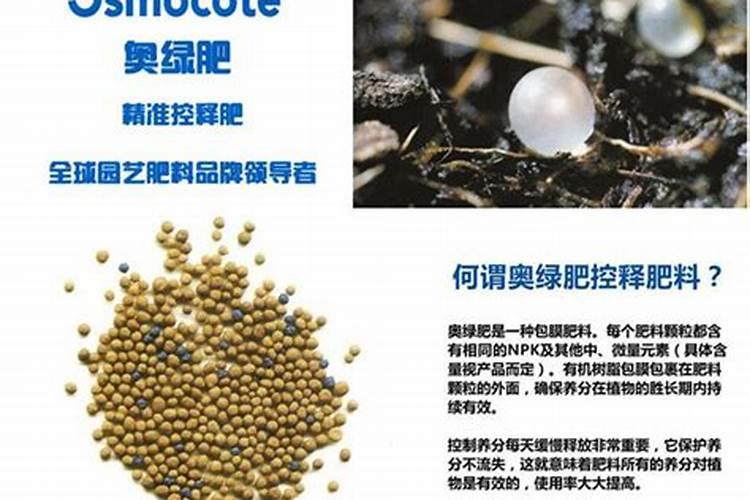 多肉缓释肥和控释肥有什么区别？